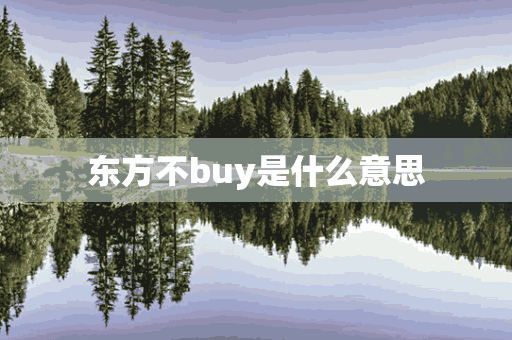 东方不buy是什么意思